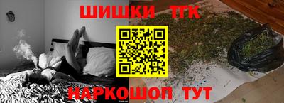 индика Гатчина