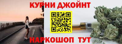 индика Гатчина