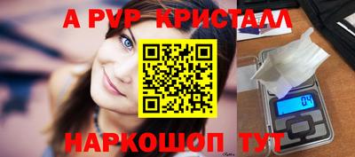 индика Гатчина