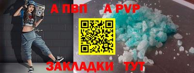 индика Гатчина