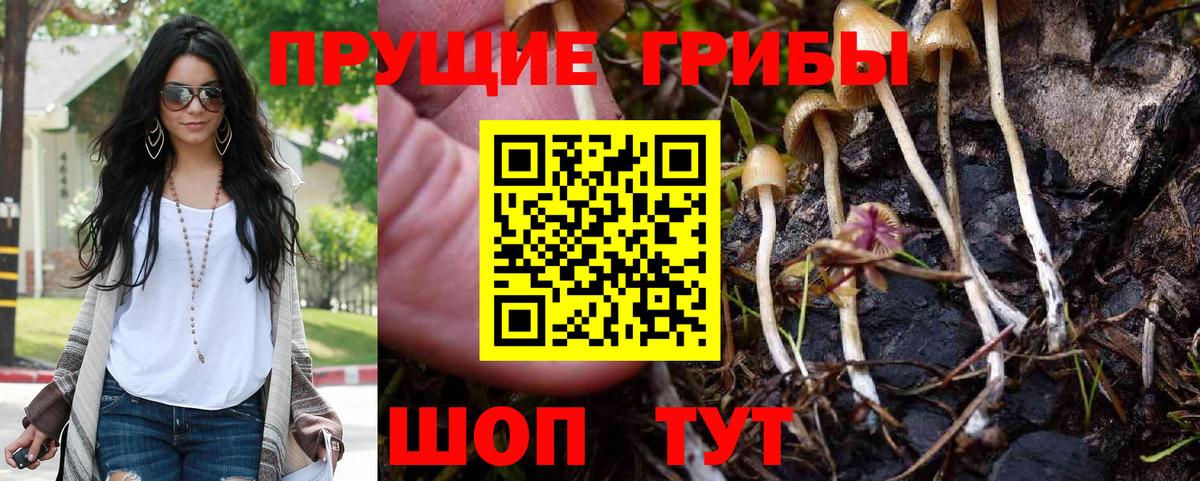 Псилоцибиновые грибы ЛСД Муром